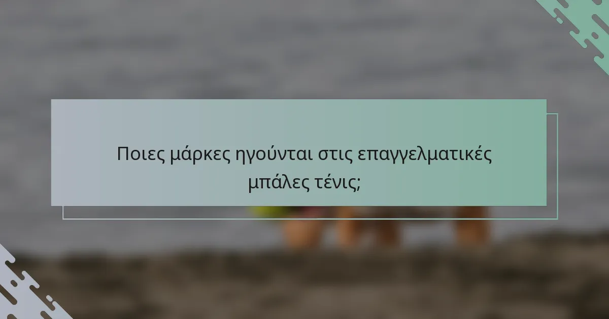 Ποιες μάρκες ηγούνται στις επαγγελματικές μπάλες τένις;