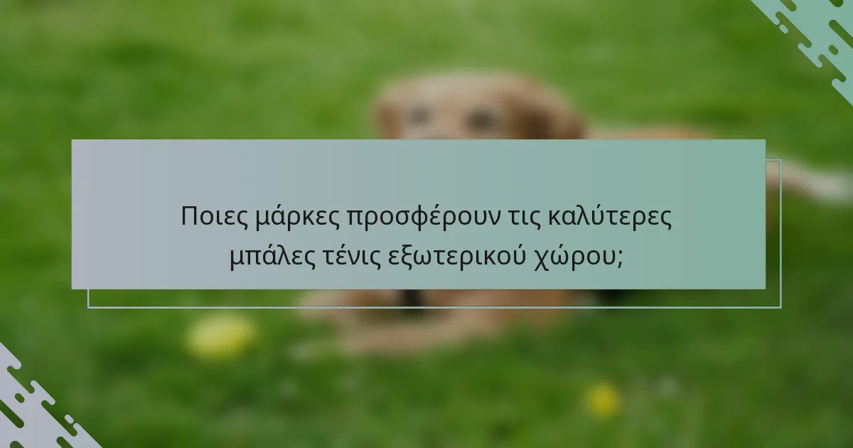Ποιες μάρκες προσφέρουν τις καλύτερες μπάλες τένις εξωτερικού χώρου;