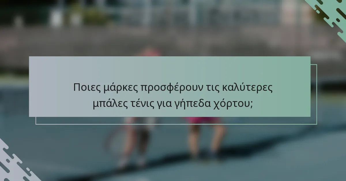 Ποιες μάρκες προσφέρουν τις καλύτερες μπάλες τένις για γήπεδα χόρτου;