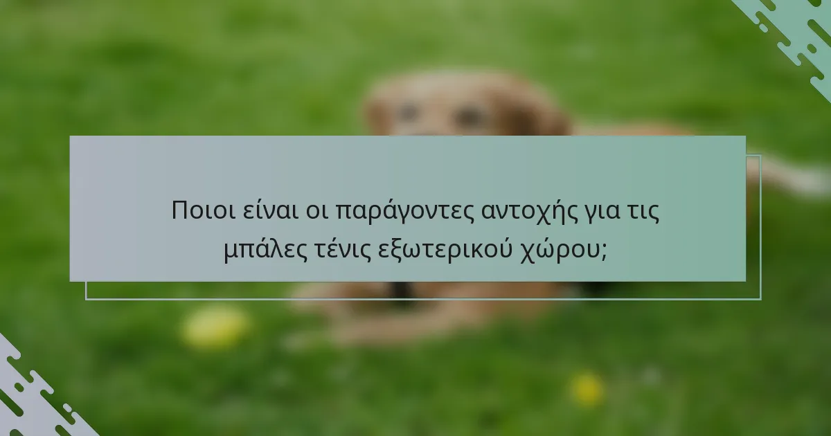 Ποιοι είναι οι παράγοντες αντοχής για τις μπάλες τένις εξωτερικού χώρου;