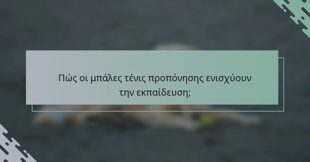 Πώς οι μπάλες τένις προπόνησης ενισχύουν την εκπαίδευση;